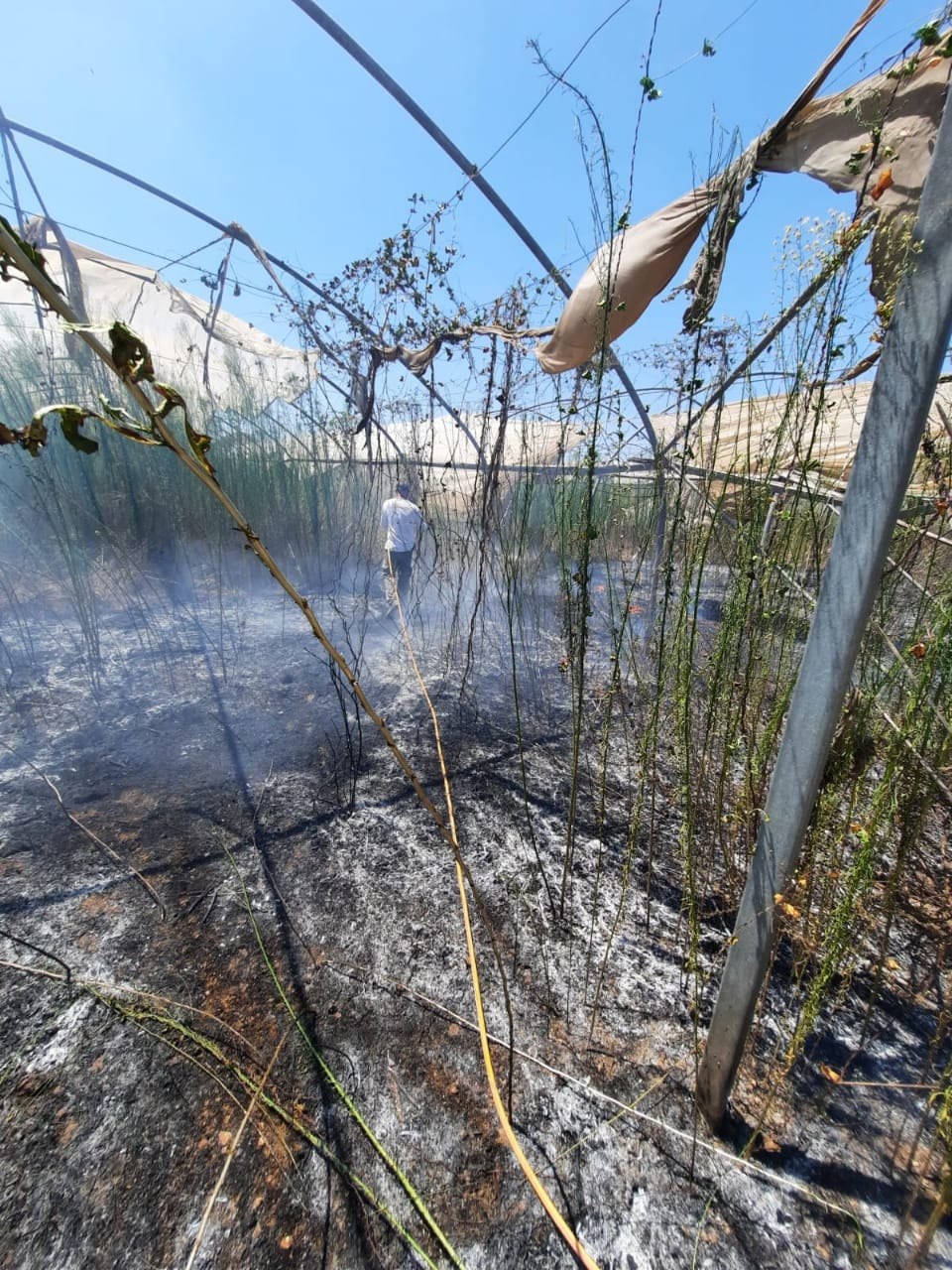 שריפה בחממות באזור שדות נגב צילום א.ק חדשות בטחון שדה