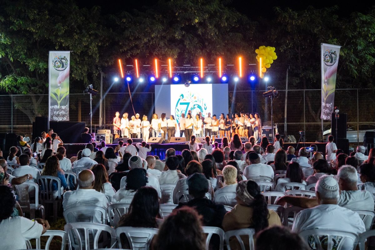 צילום: יורם אלפסי - צילום אחר