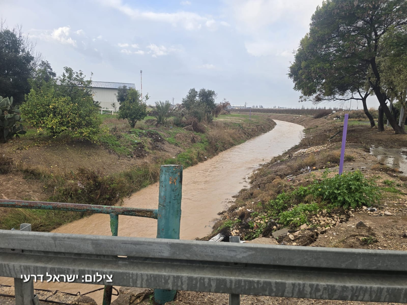 נחל חורף במושב ברכיה צילום ישראל דרעי 