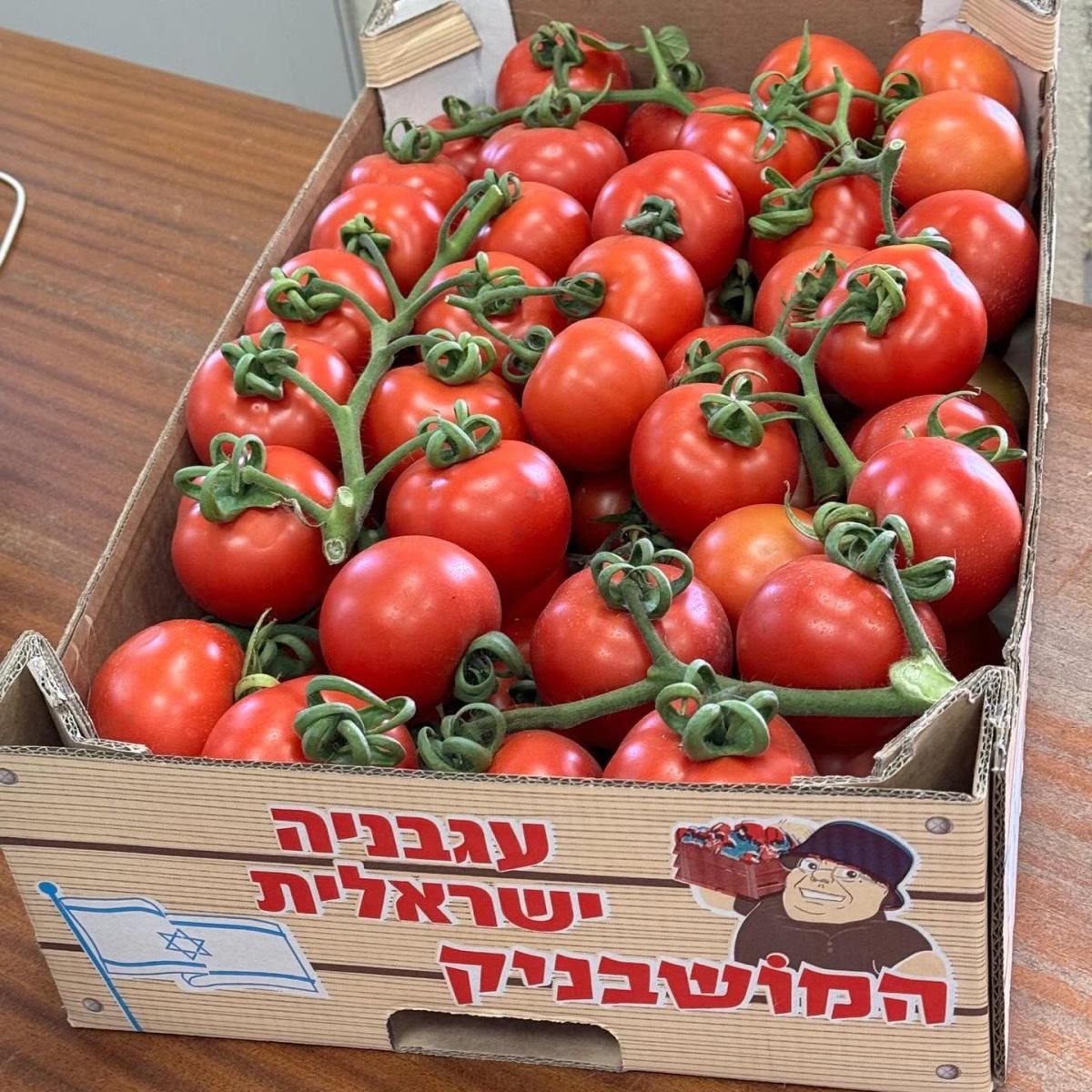 המשק של רותם אוביץ