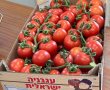 רותם אוביץ ממושב עמיעוז בין הצעירים המבטיחים בחקלאות לשנת 2024