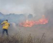 קק"ל תשקיע מיליוני שקלים לשיקום יערות והכשרות חקלאיות ביישובי עוטף עזה