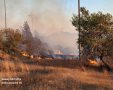 קרדיט: תיעוד מבצעי כבאות והצלה לישראל מחוז דרום